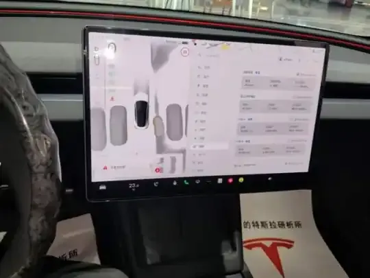 Tesla Model 3 2025 (20200 км)