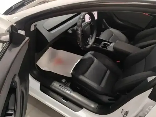 Tesla Model 3 2025 (20200 км)