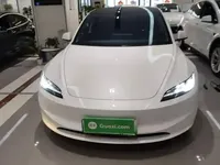 Tesla Model 3 2025 (20200 км)