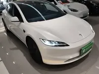 Tesla Model 3 2025 (20200 км)