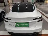 Tesla Model 3 2025 (20200 км)