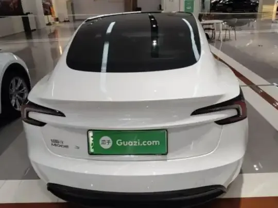 Tesla Model 3 2025 (20200 км)