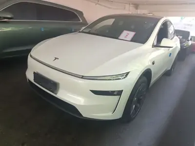 Tesla Model Y L 2025 (100 км)