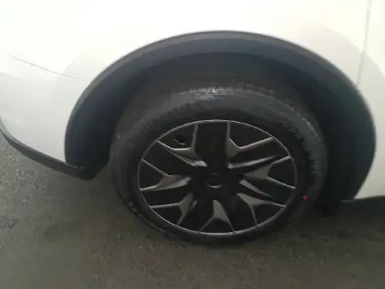 Tesla Model Y L 2025 (100 км)