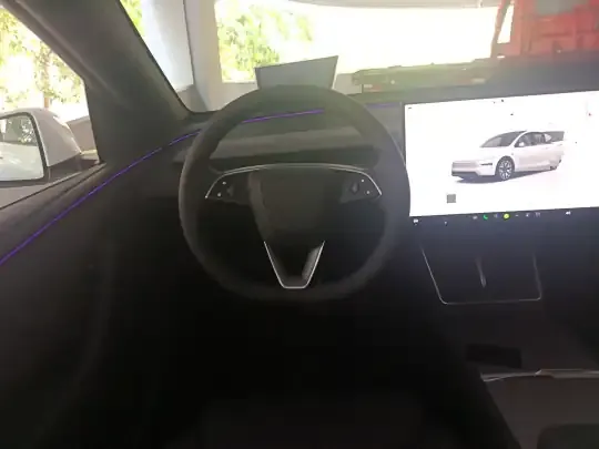 Tesla Model Y L 2025 (100 км)