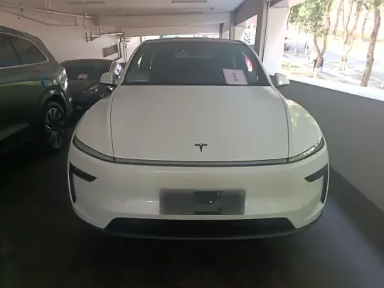 Tesla Model Y L 2025 (100 км)