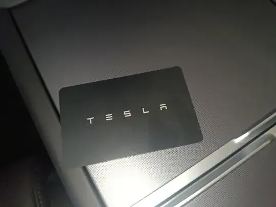 Tesla Model Y L 2025 (100 км)