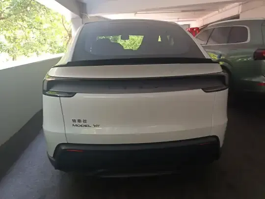Tesla Model Y L 2025 (100 км)