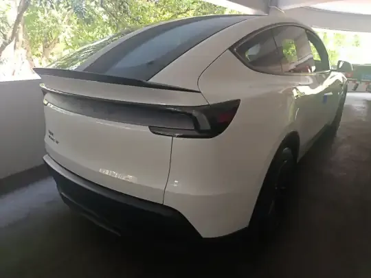 Tesla Model Y L 2025 (100 км)