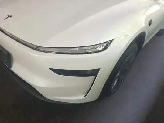 Tesla Model Y L 2025 (100 км)