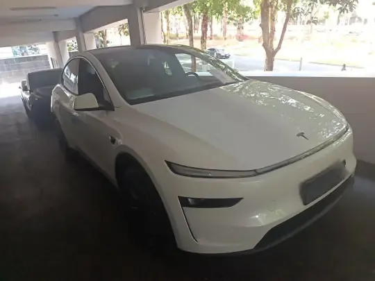 Tesla Model Y L 2025 (100 км)