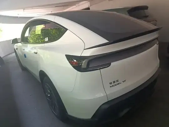 Tesla Model Y L 2025 (100 км)