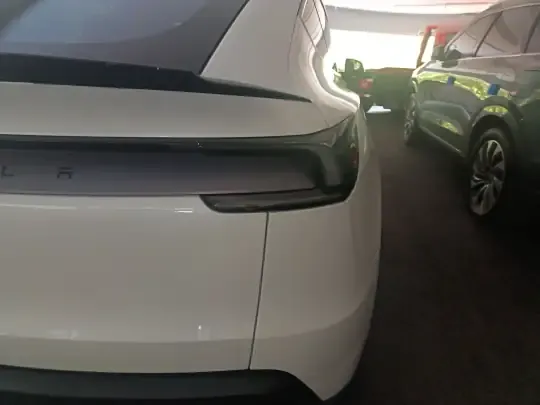 Tesla Model Y L 2025 (100 км)