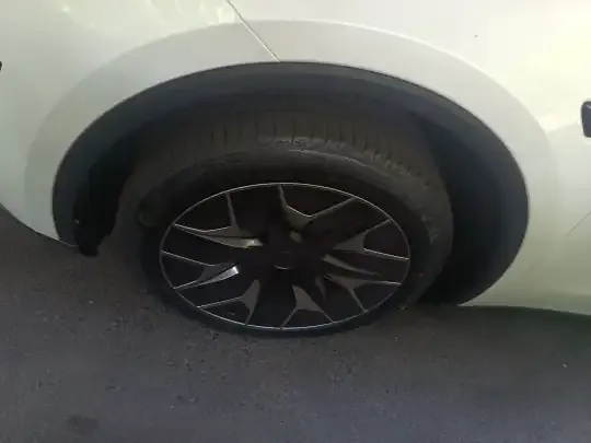 Tesla Model Y L 2025 (100 км)