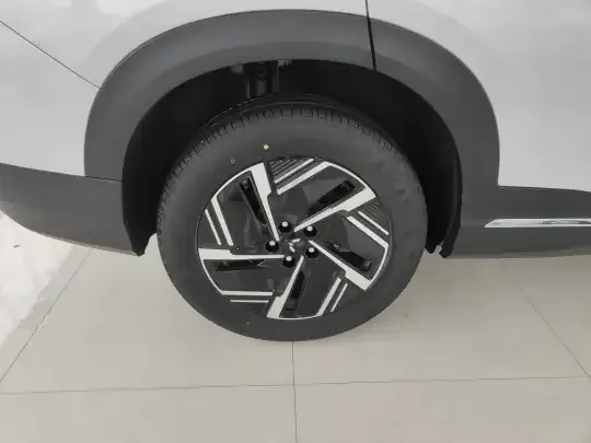 Wuling Xingguang S 2025 (100 км)