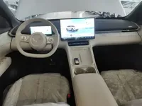 Wuling Xingguang S 2025 (100 км)