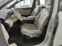 Wuling Xingguang S 2025 (100 км)