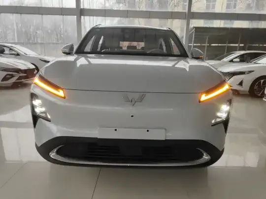 Wuling Xingguang S 2025 (100 км)