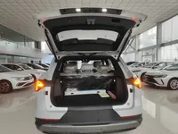 Wuling Xingguang S 2025 (100 км)