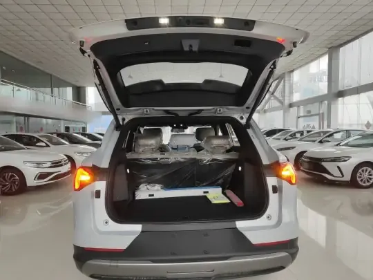 Wuling Xingguang S 2025 (100 км)