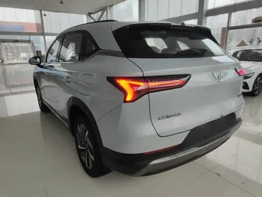 Wuling Xingguang S 2025 (100 км)