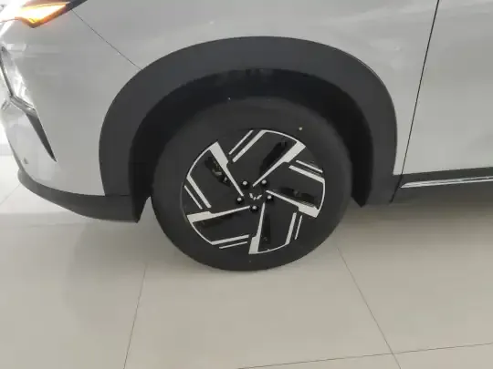 Wuling Xingguang S 2025 (100 км)