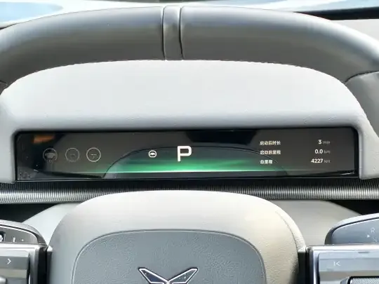 XPeng P7 2025 (2500 км)