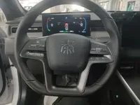 BYD Qin PLUS  (15300 км)