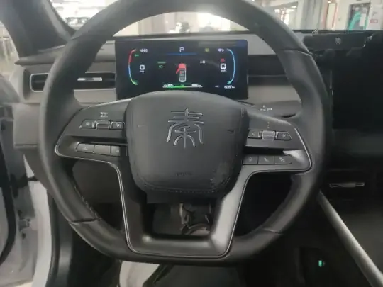 BYD Qin PLUS  (15300 км)