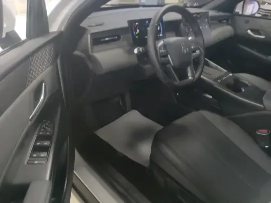 BYD Qin PLUS  (15300 км)