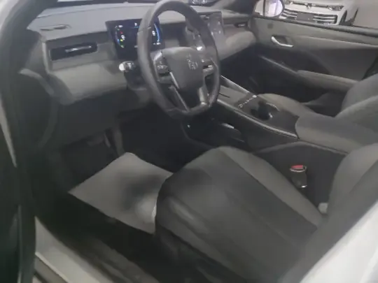 BYD Qin PLUS  (15300 км)