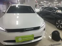 BYD Qin PLUS  (15300 км)