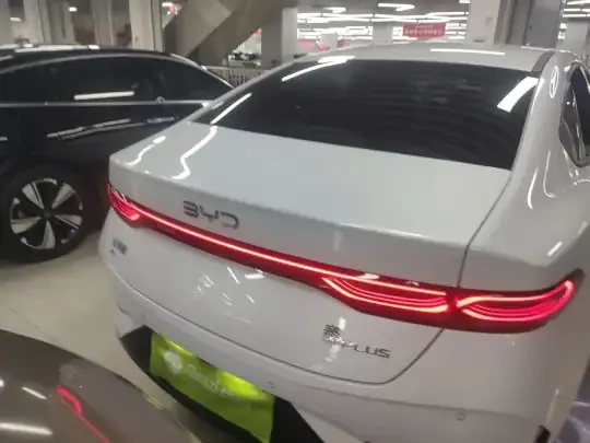 BYD Qin PLUS  (15300 км)