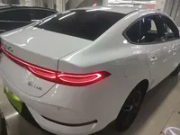 BYD Qin PLUS  (15300 км)