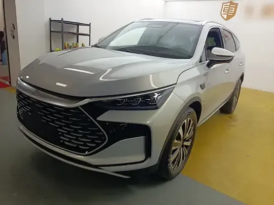BYD Tang New Energy 2025 (1600 км)