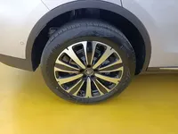 BYD Tang New Energy 2025 (1600 км)