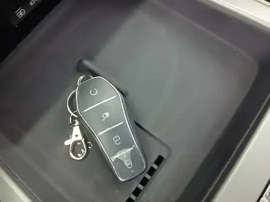 BYD Tang New Energy 2025 (1600 км)