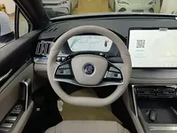 BYD Tang New Energy 2025 (1600 км)
