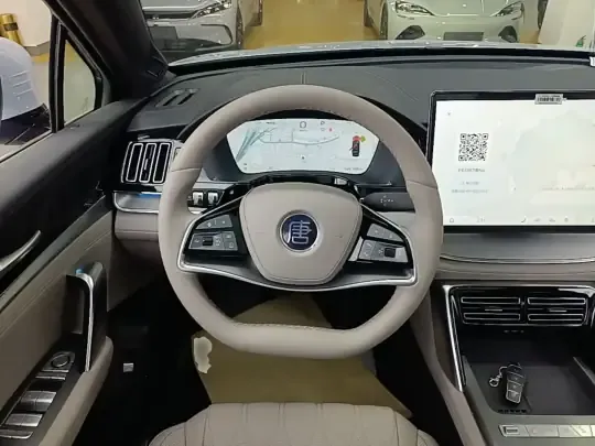 BYD Tang New Energy 2025 (1600 км)