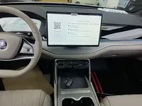 BYD Tang New Energy 2025 (1600 км)