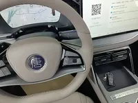 BYD Tang New Energy 2025 (1600 км)