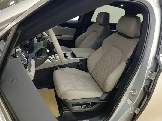 BYD Tang New Energy 2025 (1600 км)