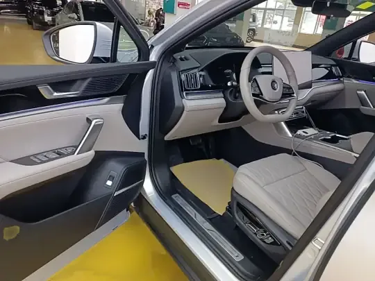 BYD Tang New Energy 2025 (1600 км)
