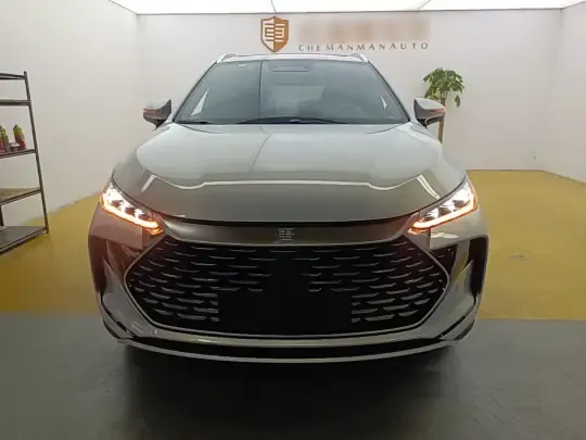 BYD Tang New Energy 2025 (1600 км)