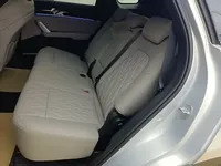 BYD Tang New Energy 2025 (1600 км)