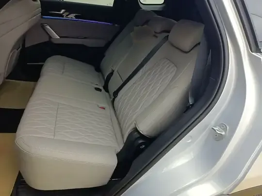 BYD Tang New Energy 2025 (1600 км)