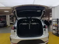 BYD Tang New Energy 2025 (1600 км)