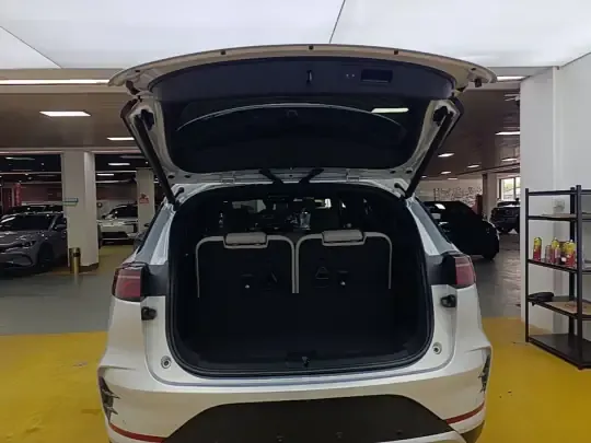 BYD Tang New Energy 2025 (1600 км)