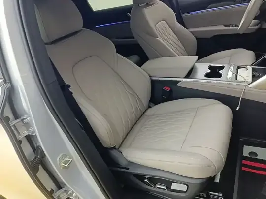 BYD Tang New Energy 2025 (1600 км)