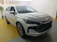 BYD Tang New Energy 2025 (1600 км)